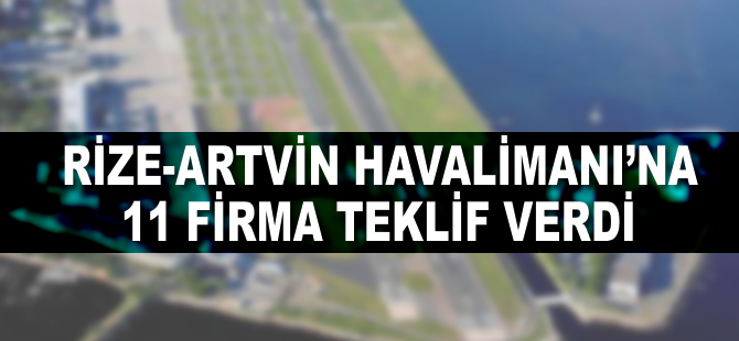 Denize yapılacak ikinci havalimanına 11 teklif