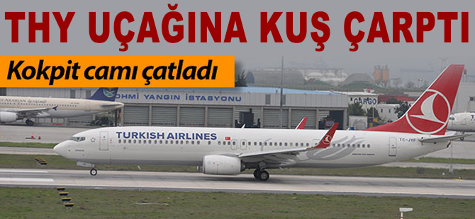 THY uçağına kuş çarptı