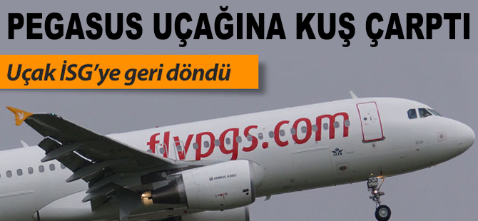 Pegasus uçağı kuşa çarptı