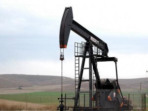 TPAO'nun Siirt ve Batman'daki petrol işletme ruhsatı uzatıldı