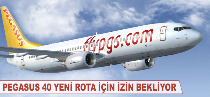 Pegasus 40 yeni rota için izin bekliyor