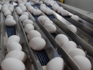 Tüketiciyi üzen yumurta fiyatı üreticiye nefes aldırdı