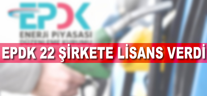 EPDK 22 şirkete lisans verdi