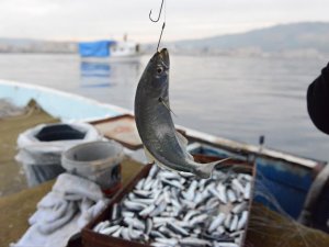 Çanakkale Boğazı'nda "ekmek çinekopun ağzında"