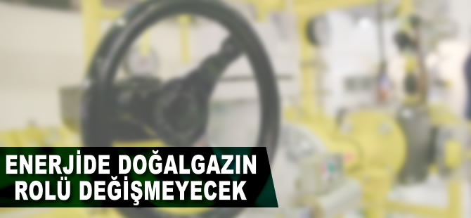 Enerjide doğalgazın rolü değişmeyecek