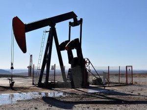 Arar Petrol, 5 petrol arama ruhsatı için başvurdu