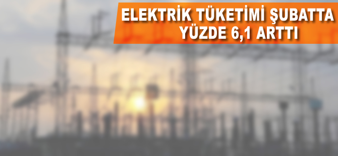 Elektrik tüketimi şubatta yüzde 6,1 arttı