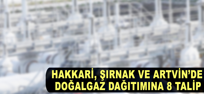 Hakkari, Şırnak ve Artvin'de doğalgaz dağıtımına 8 talip