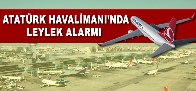 Atatürk Havalimanı'nda leylek alarmı!