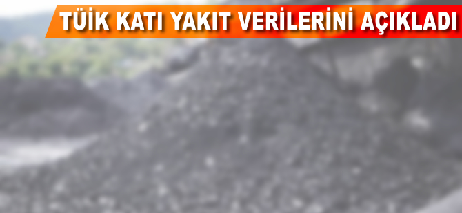 TÜİK katı yakıt verilerini açıkladı