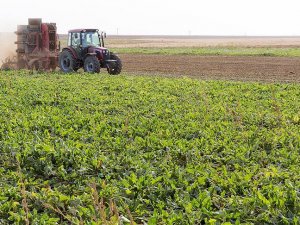 'Sigortalanabilir tarım alanlarının sadece yüzde 19'u sigortalı'