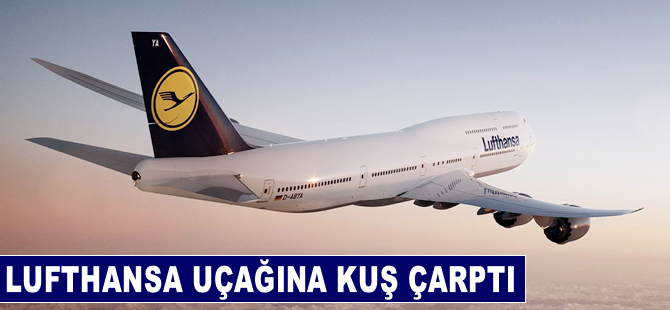 Lufthansa uçağına kuş çarptı, uçakta hasar meydana geldi