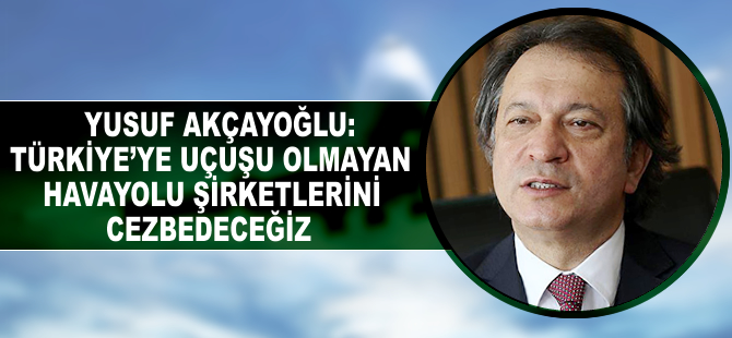 "Türkiye'ye uçuşu olmayan hava yolu şirketlerini cezbedeceğiz"