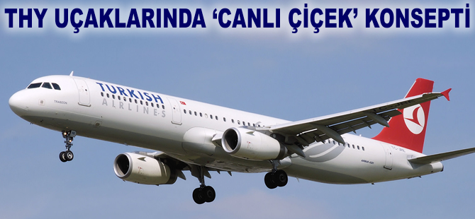 THY uçaklarında 'canlı çiçek' konsepti