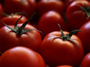 Rekoltedeki düşüş domates fiyatlarını artırdı