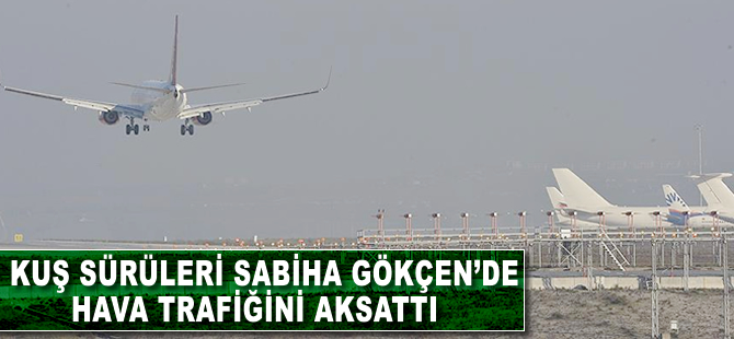 Kuşlar Sabiha Gökçen'de hava trafiğini durdurdu