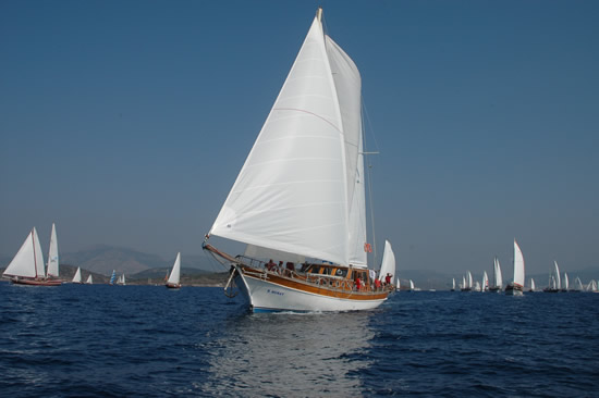 1.20121015165750.jpg 1.20121015165750.jpg