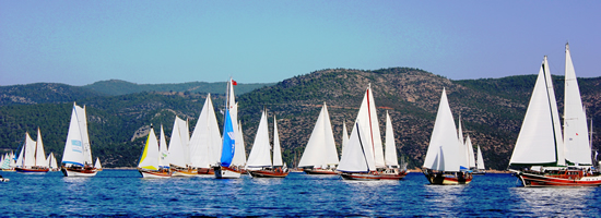 4.20121015165828.jpg 4.20121015165828.jpg