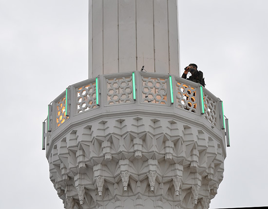 4.20121117132449.jpg 4.20121117132449.jpg