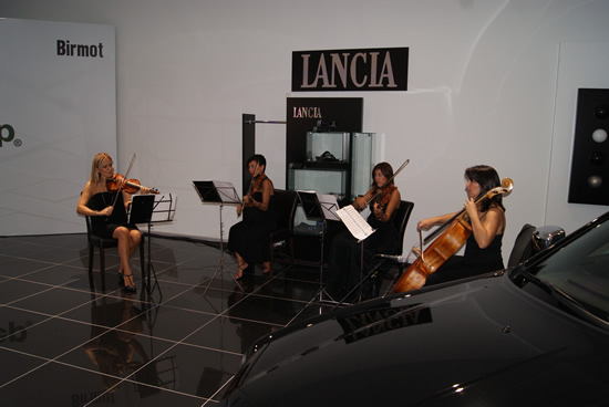 dsc03116.jpg dsc03116.jpg